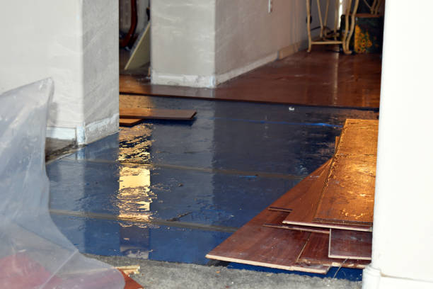 Professional Sewage Cleanup technician working in Kansasville, WI